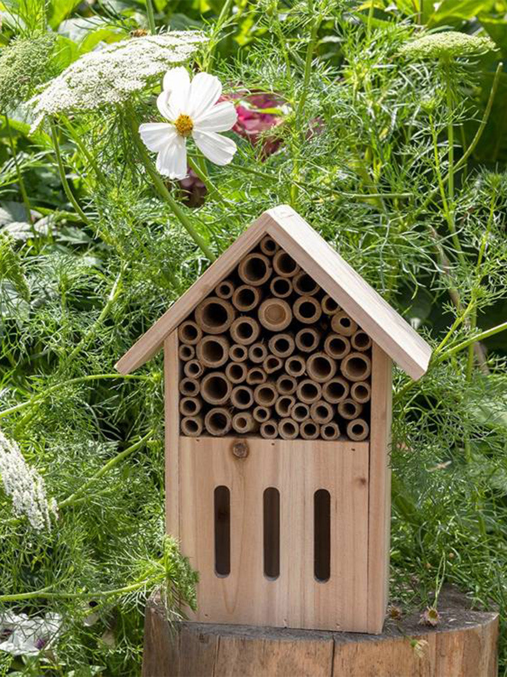 Une maison pour les abeilles et les papillons