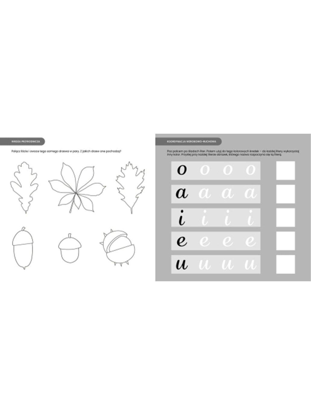 Montessori. Exercices pour un enfant de quatre ans