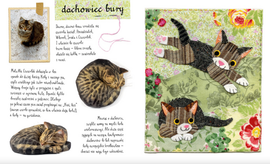 Un petit atlas des chats (et chatons) par Ewa et Paweł Pawlak