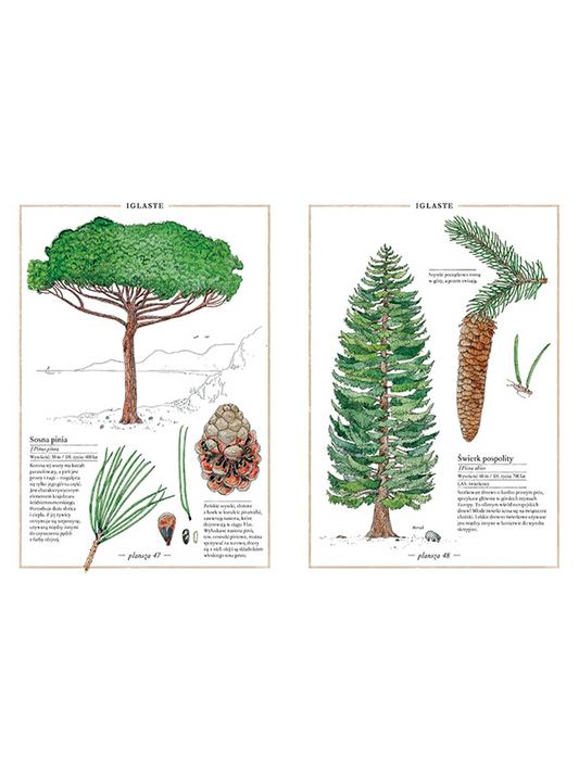 Illustrierter Baumbestand