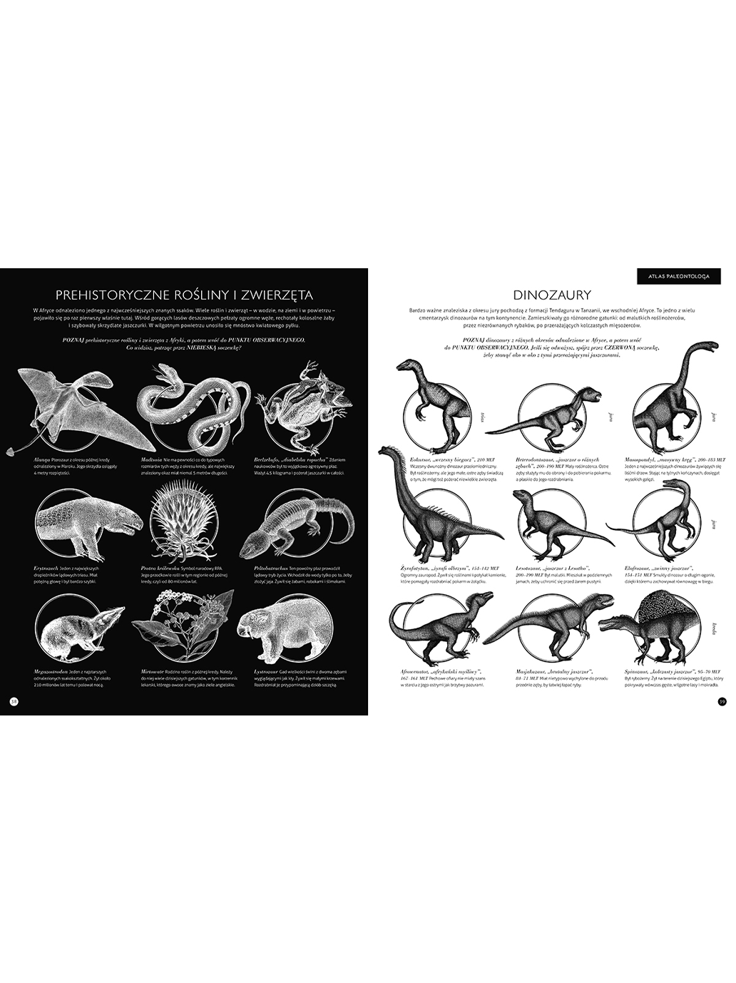 Gabinet dinozaurów