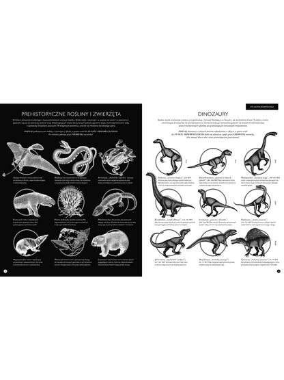 Gabinet dinozaurów