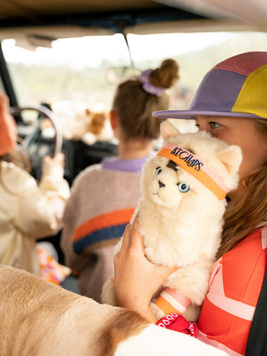 Dolly la peluche Ragdoll