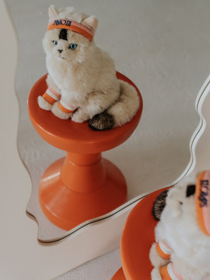 Dolly la peluche Ragdoll