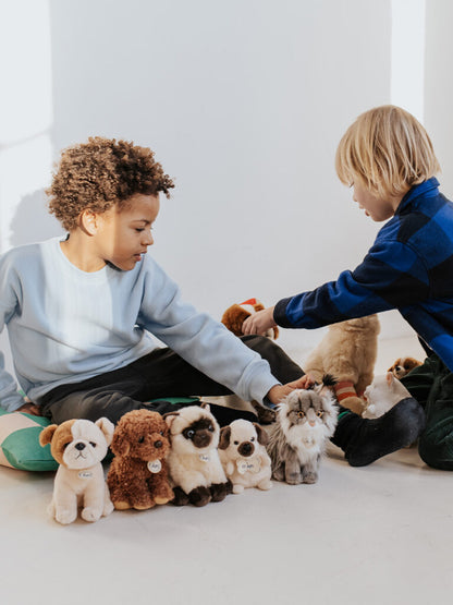 Peluche dans une boîte