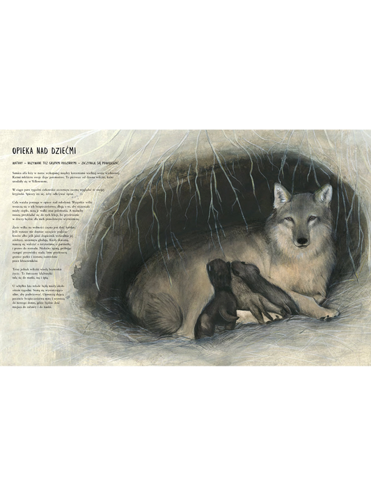 Czternaście wilków. L&#39;écosystème écologique