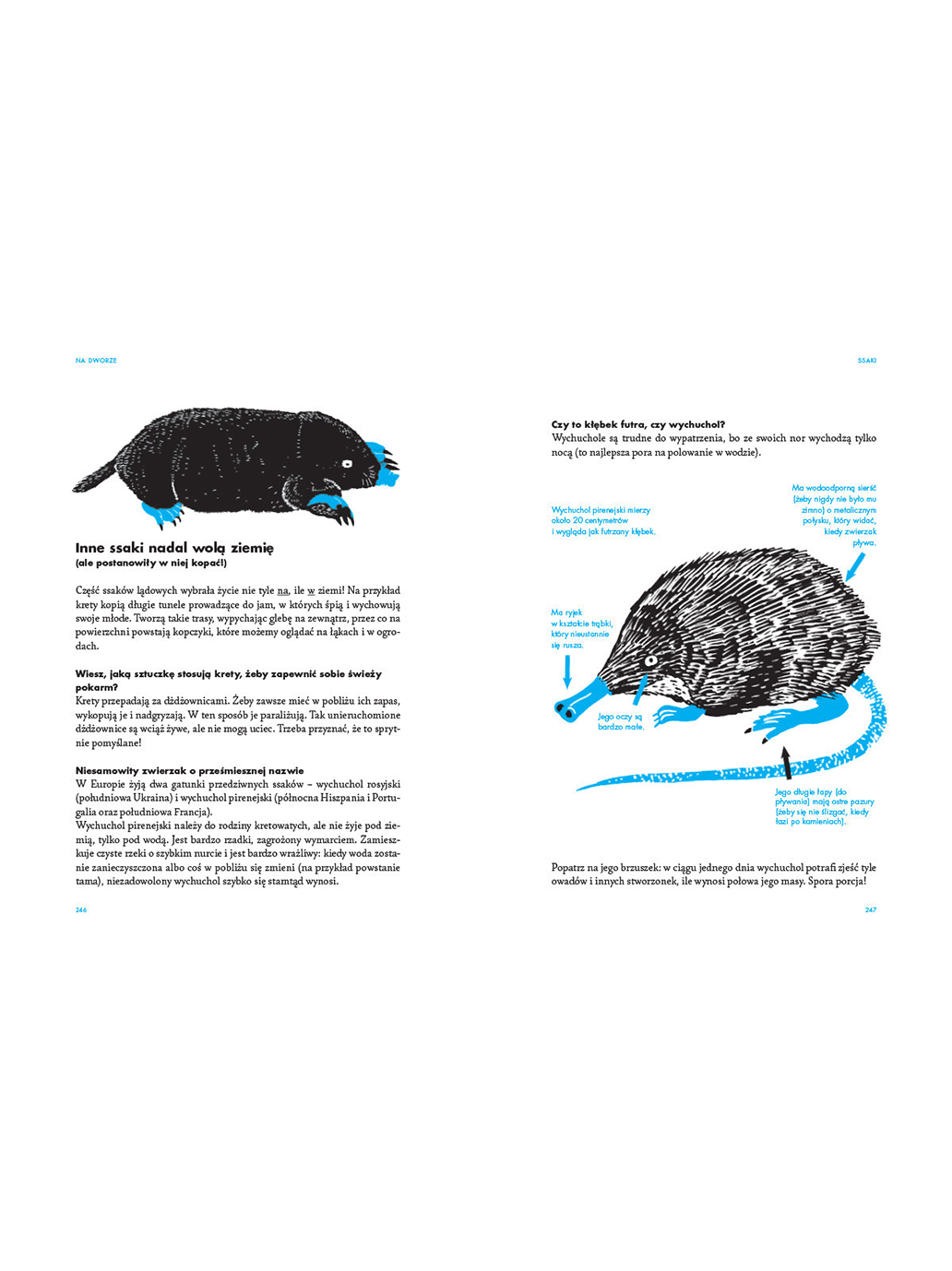 Dehors. Un guide pour les explorateurs de la nature