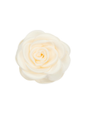 Petite Griffe Rose Satinée