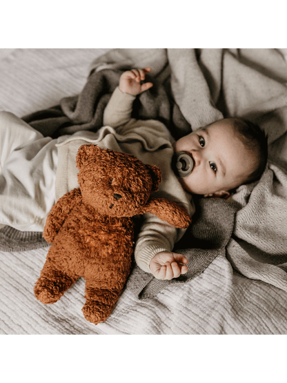 Ours en peluche bio fredonnant avec une lampe de chevet