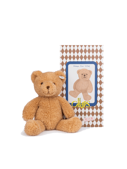 Gus l'ours pote dans une boîte cadeau