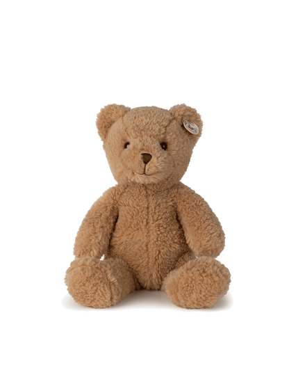 Gus l'ours pote dans une boîte cadeau