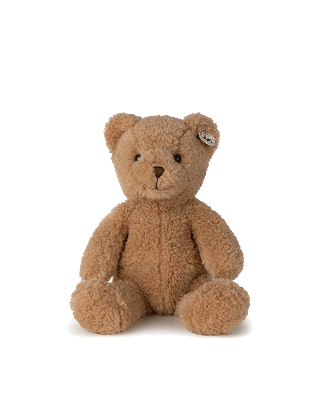 Gus l'ours pote dans une boîte cadeau