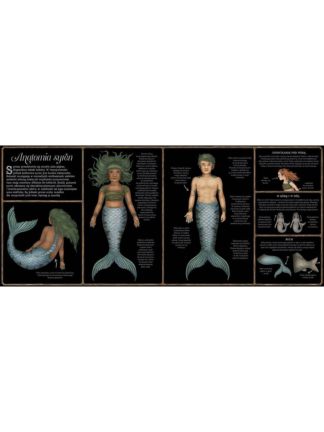 Die Naturgeschichte der Meerjungfrauen