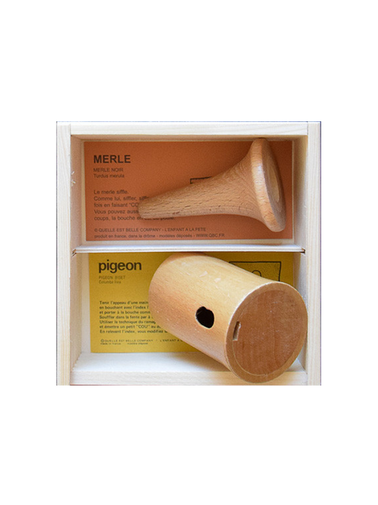 ensemble d&#39;instruments en bois pour imiter les sons des oiseaux