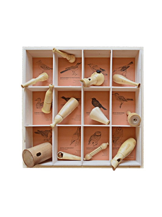 ensemble d&#39;instruments en bois pour imiter les sons des oiseaux