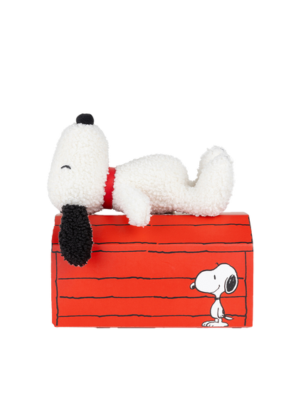 Peluche Snoopy dans une boîte cadeau