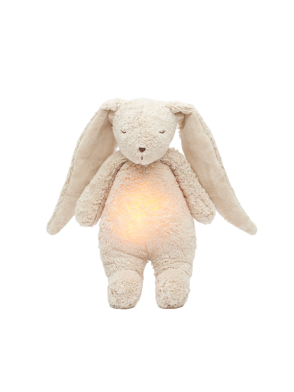 Lapin bourdonnant bio avec une lampe