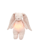 Lapin bourdonnant bio avec une lampe