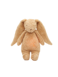 Lapin bourdonnant bio avec une lampe