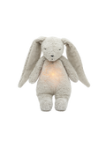 Bio-Hase mit Lampe