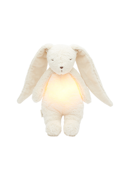 Bio-Hase mit Lampe