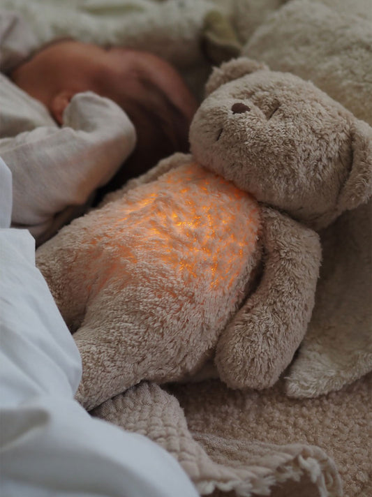 Ours en peluche bio fredonnant avec une lampe de chevet