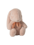 Petit lapin en peluche