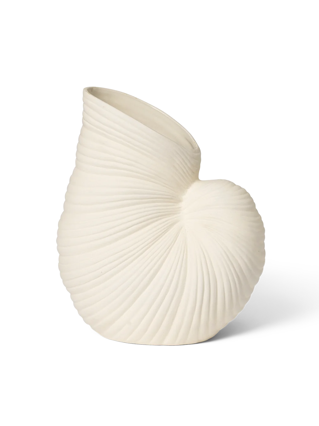 Muschelvase