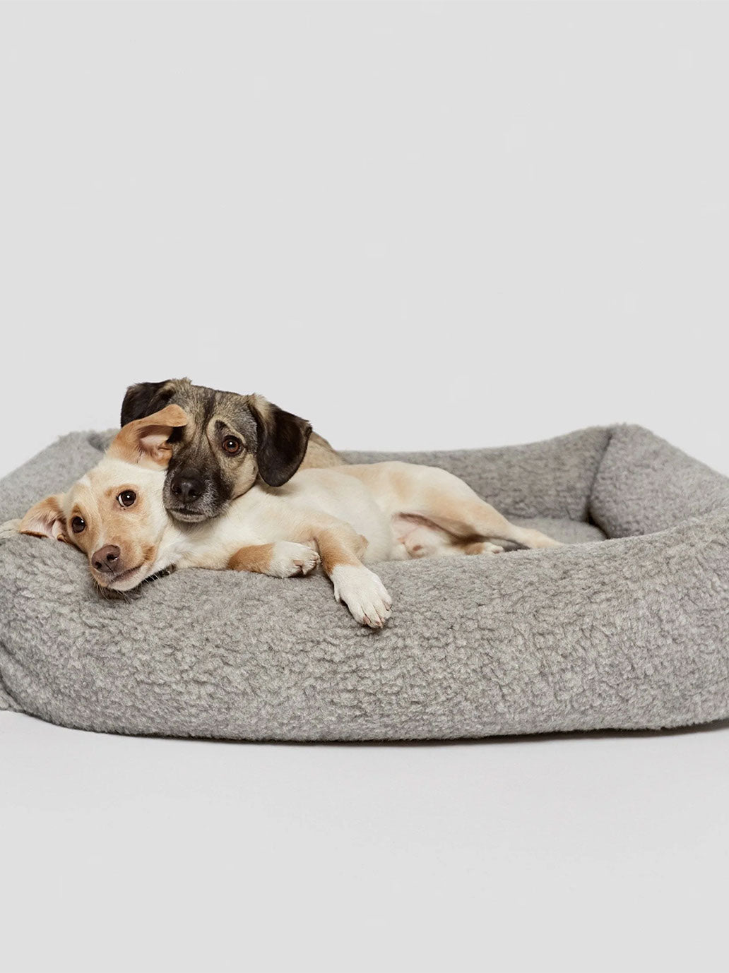 Lit pour chien Sleepy Deluxe