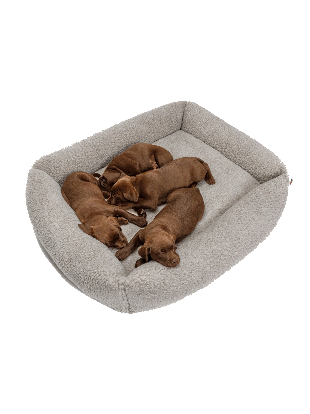 Lit pour chien Sleepy Deluxe