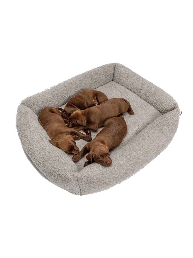 Lit pour chien Sleepy Deluxe