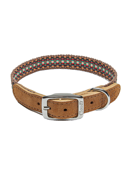 Collier pour chien Prater