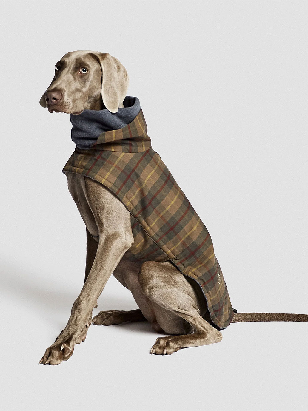 Manteau pour chien Brooklyn