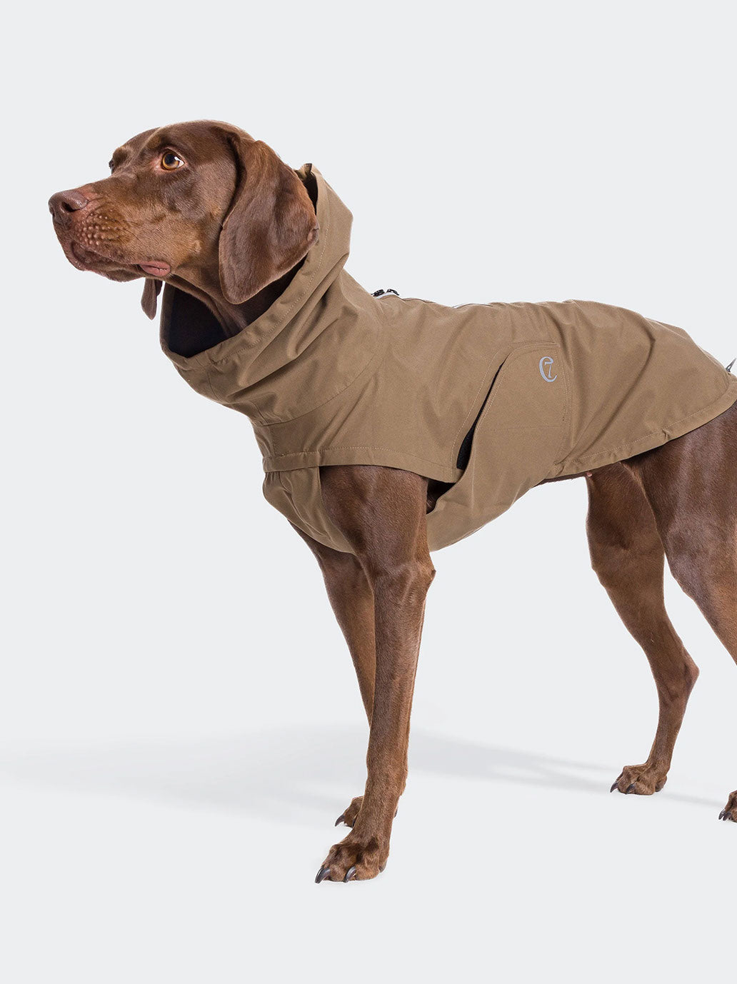 Imperméable pour chien Dublin