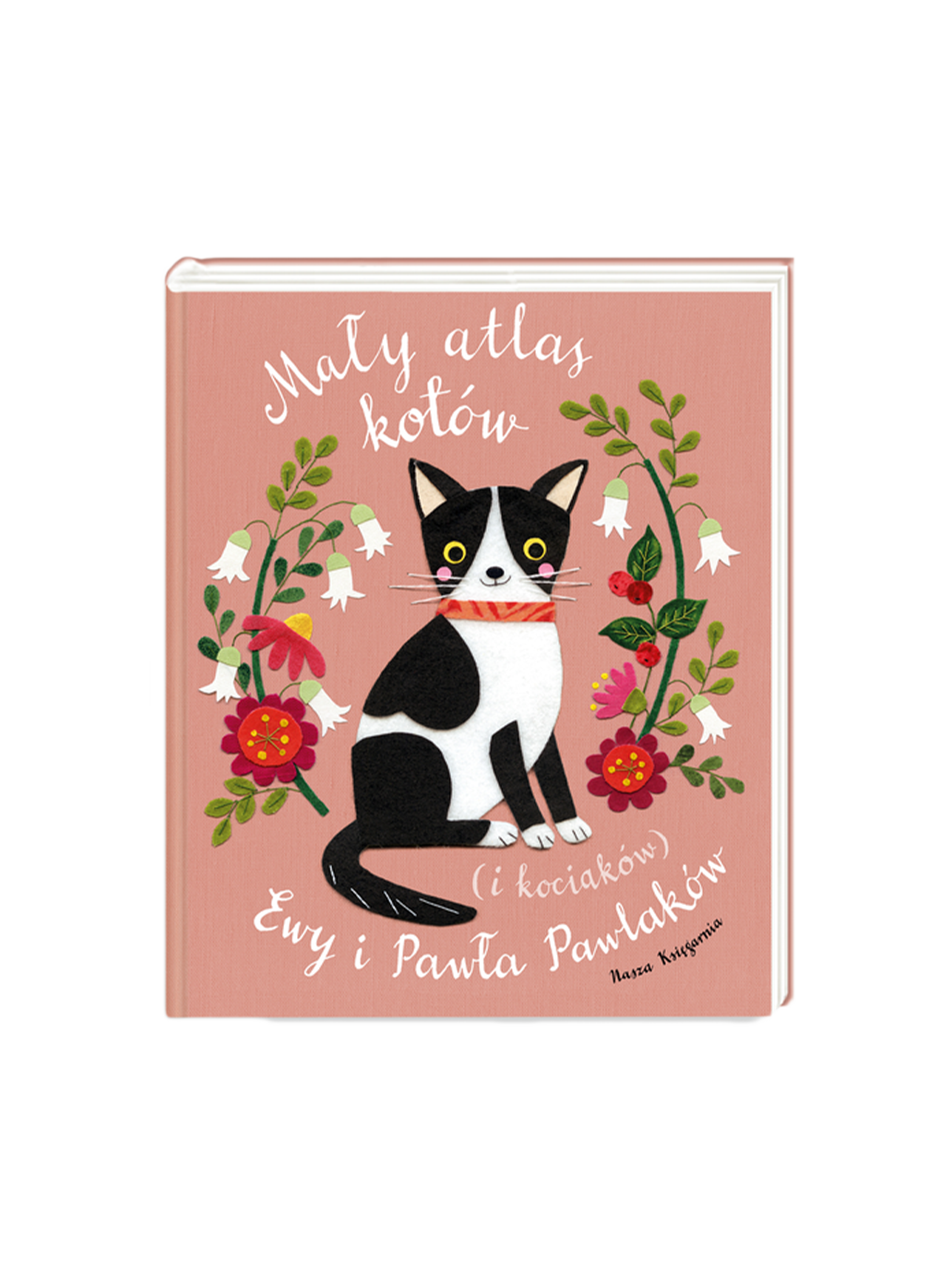 Ein kleiner Atlas der Katzen (und Kätzchen) von Ewa und Paweł Pawlak