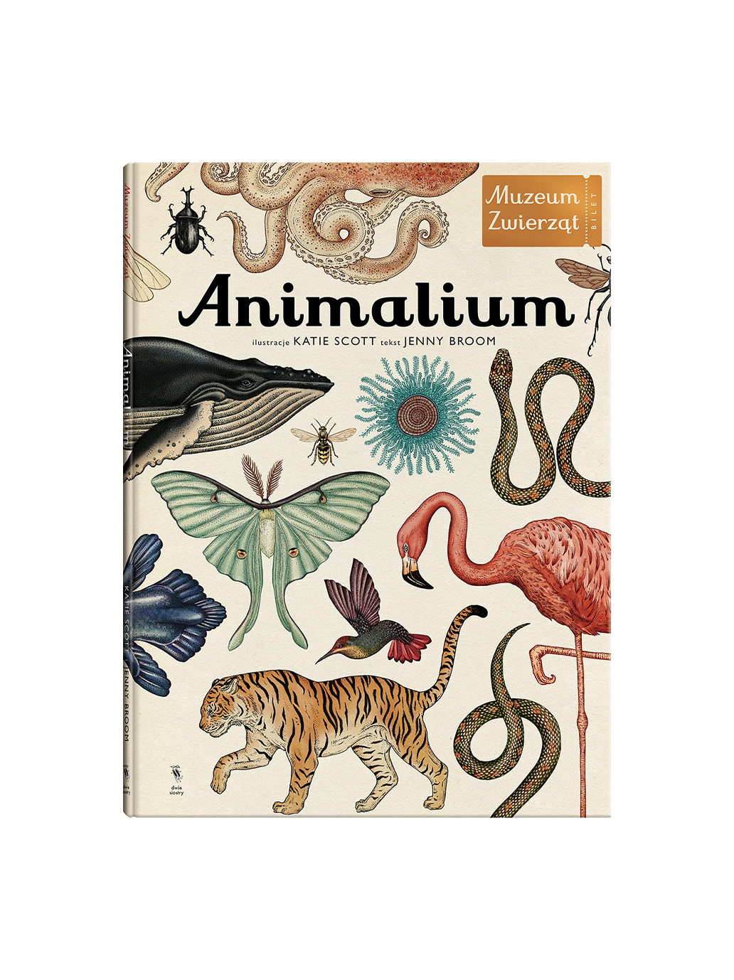 Animalium